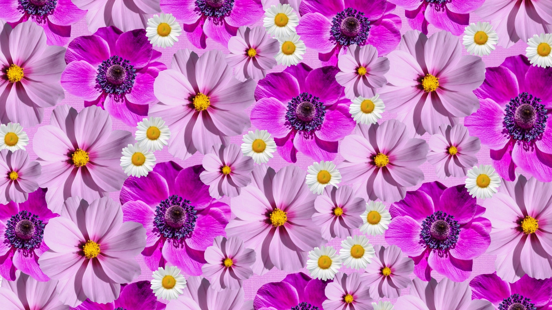 Stunning Flower Wallpaper To Elevate Your Desktop