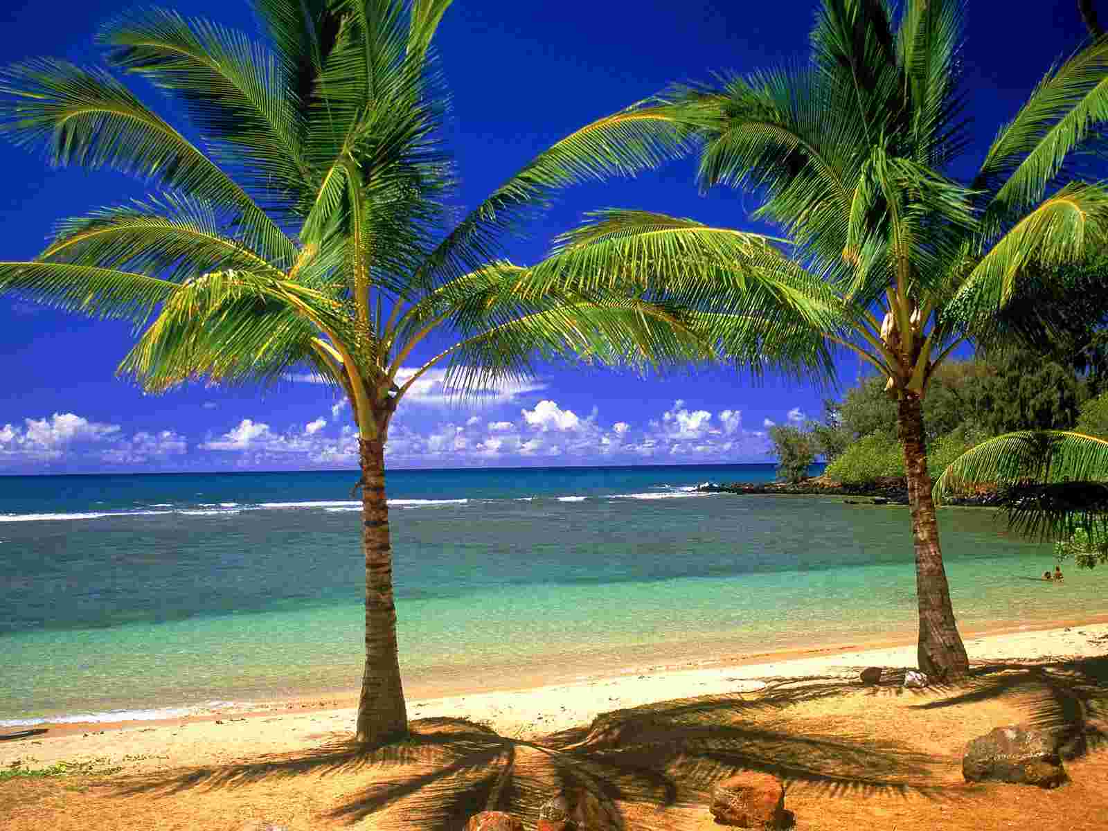 Lagoon Wallpaper Hawaii Cities Countries Collection