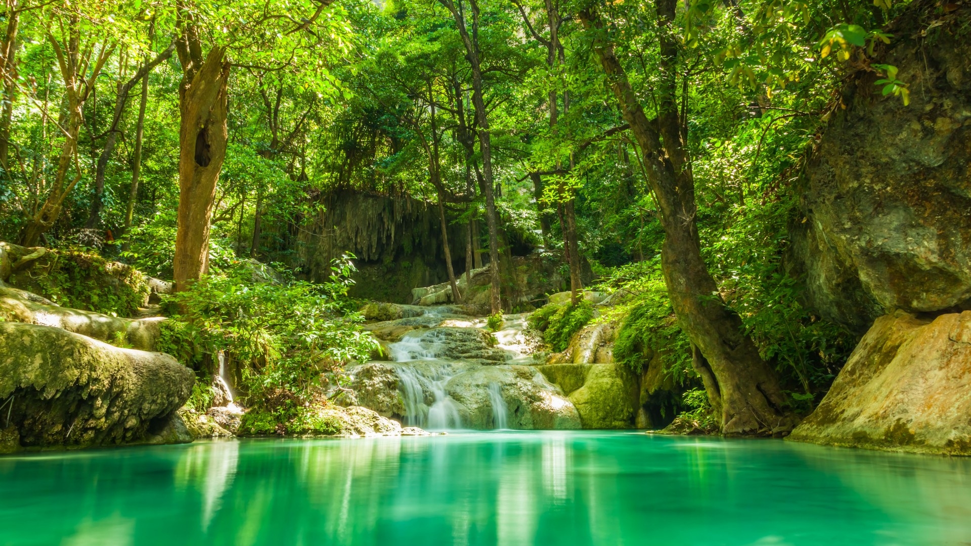 Summer Forest Lakes Streams Waterfalls Rocks Nature Landscape