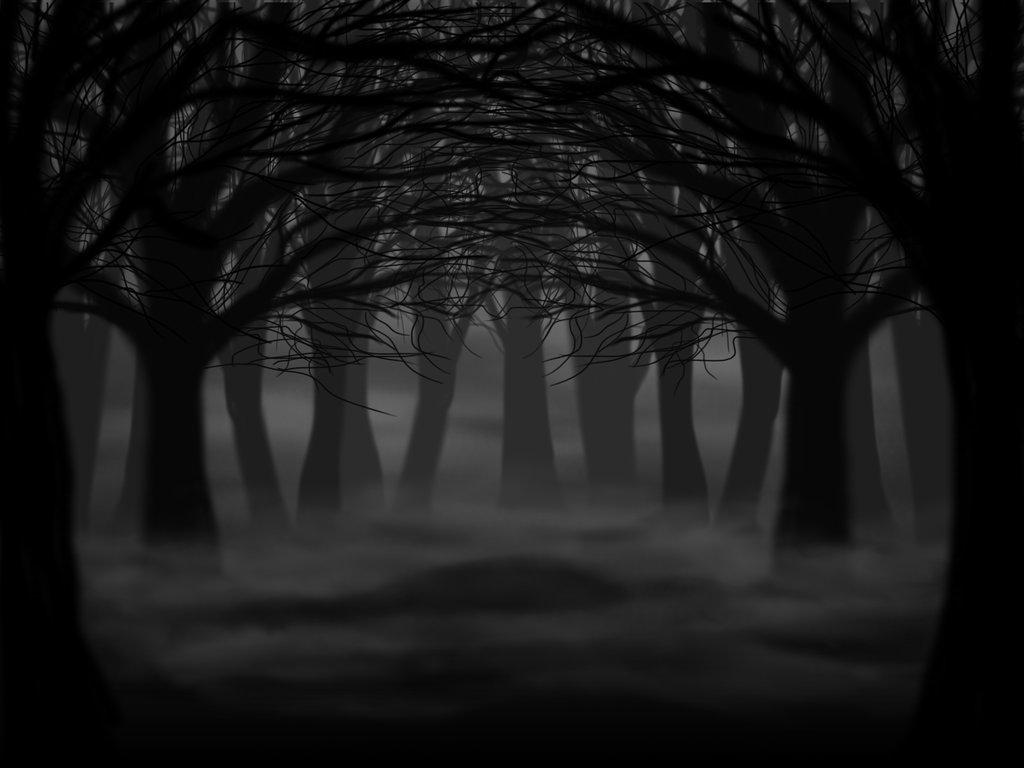 Dark Creepy Forest Dark forest by shystriker 1024x768