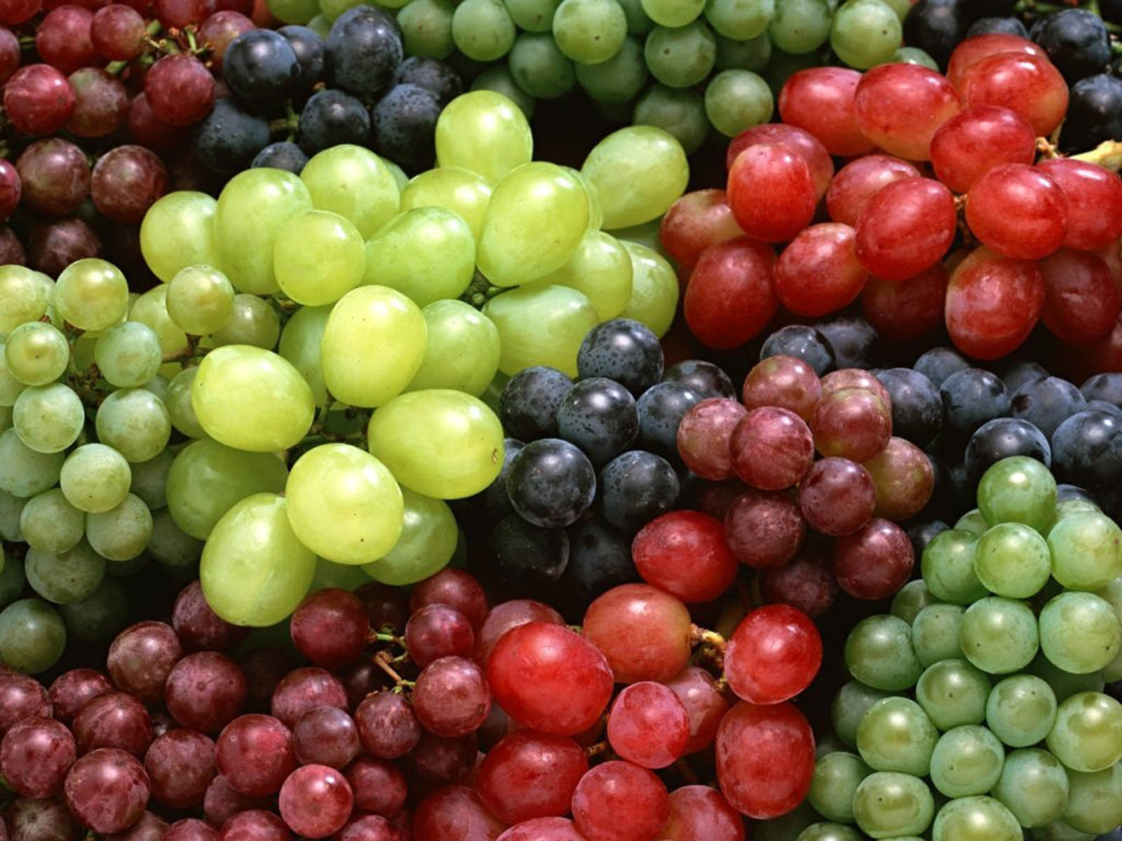 Wallpaper Red Grapes