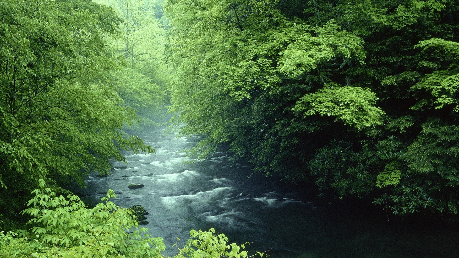 Rivers National Park Great Smoky Mountains Wallpaper Background