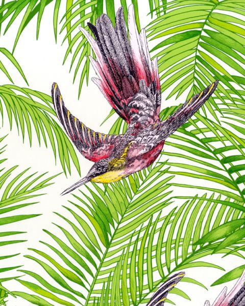 Home Brands Matthew Williamson Eden Sunbird