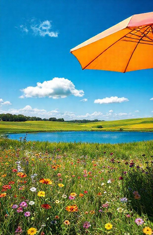 Summer Wallpaper