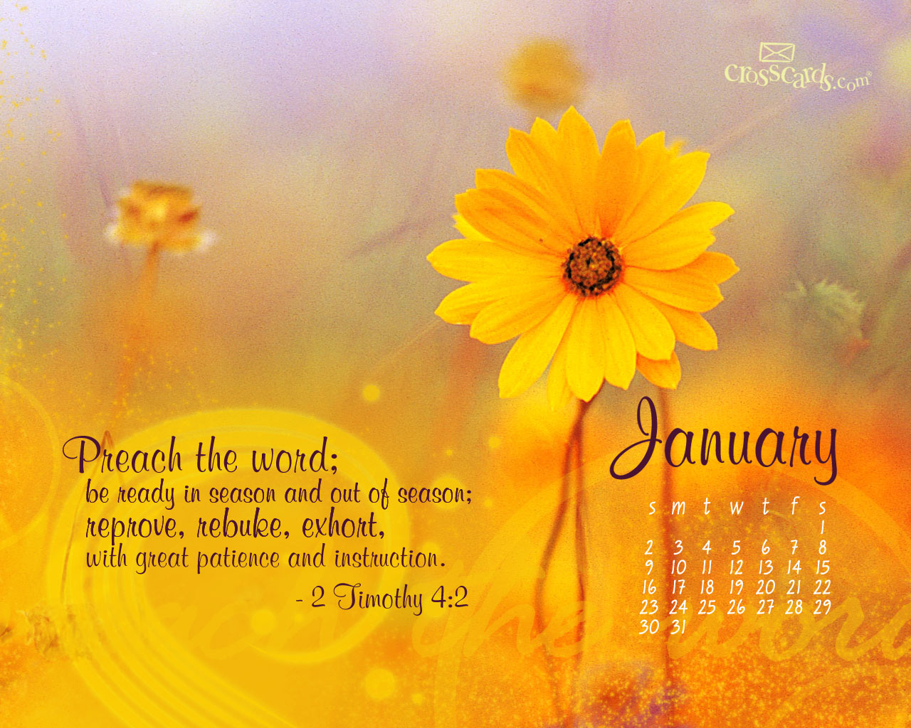 Crosscards Wallpaper Monthly Calendars January