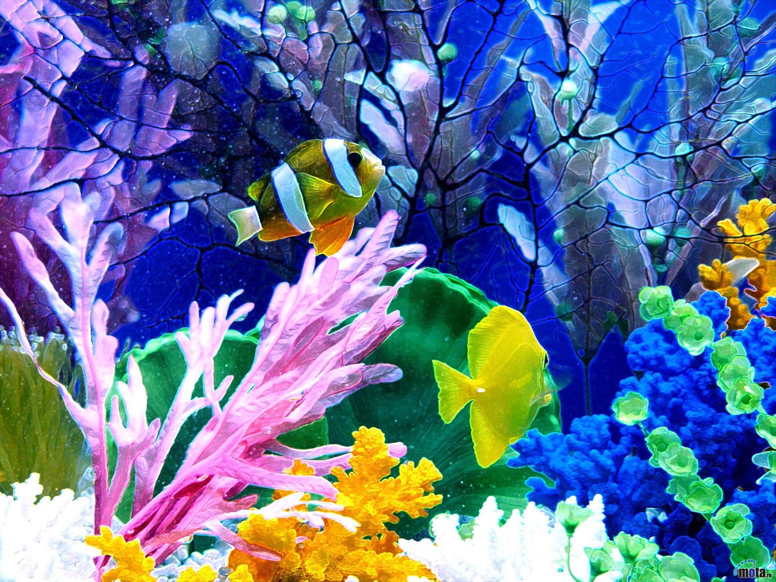 Cool Custom Background Underwater Fish