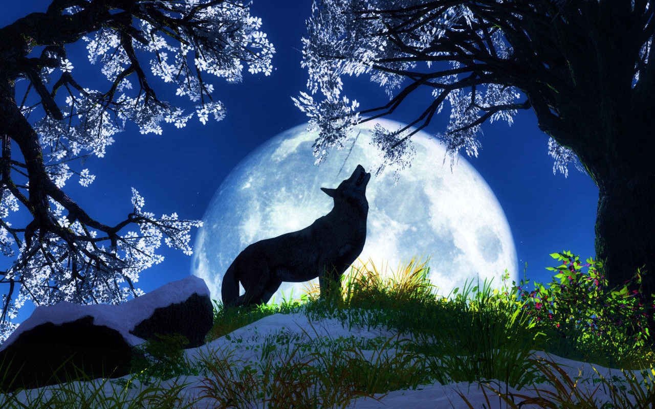 Moon Wolf Desktop Wallpaper Animal