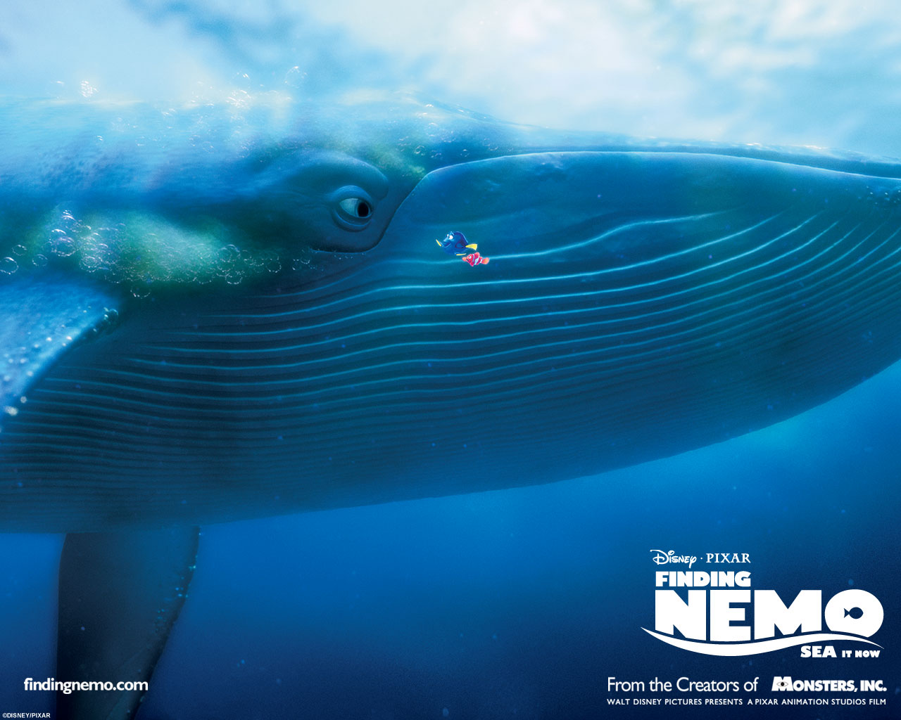 Nemo Wallpaper Size More Finding