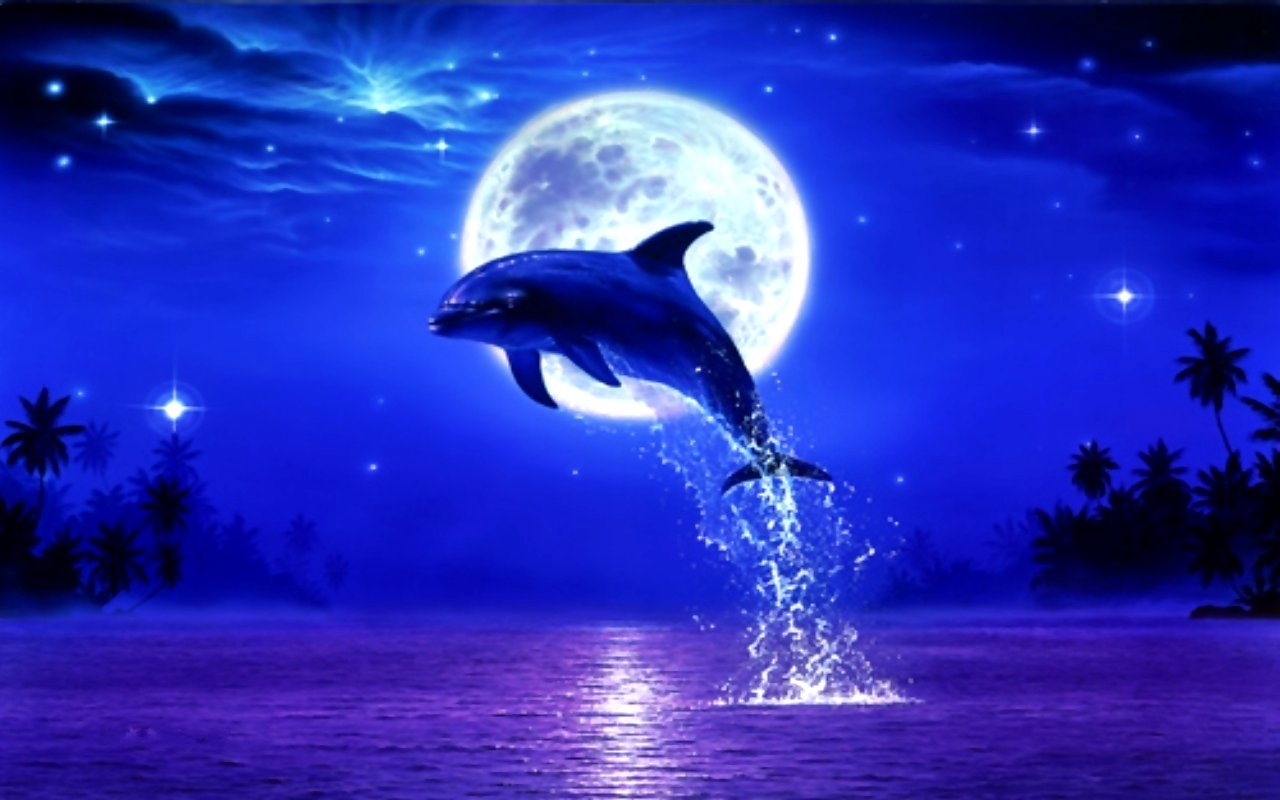 Dolphin Moon Night Stars Moonlight Leap Blue Wallpaper