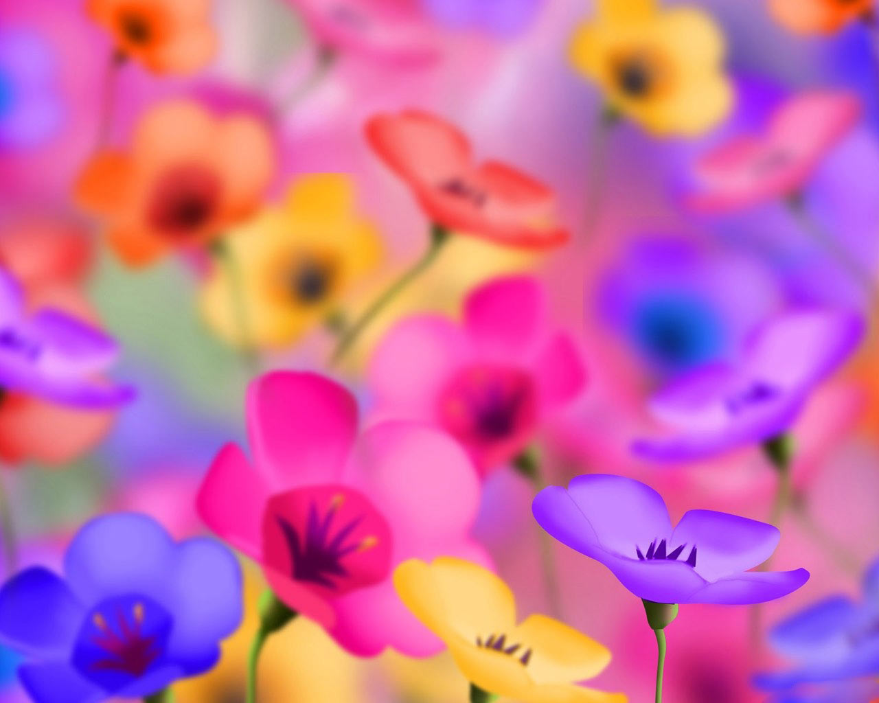 Colorful Flowers Desktop Backgrounds Wallpapers Colorful