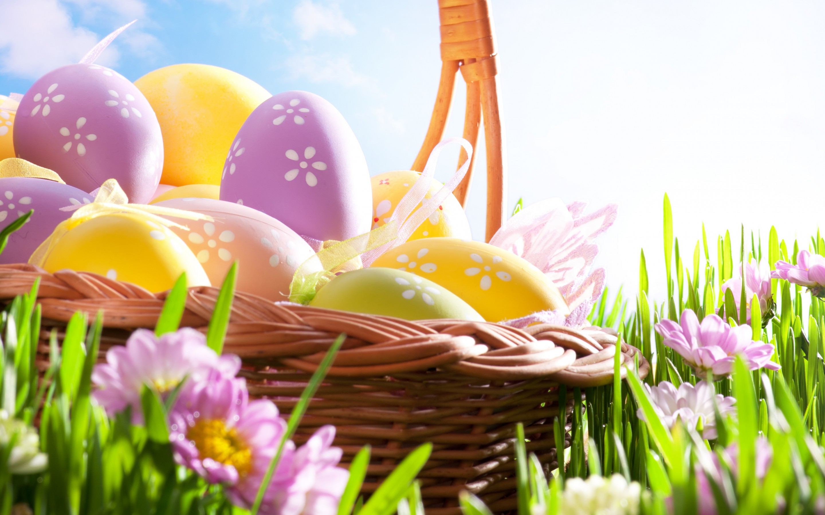 Easter HD Wallpaper Background Image Id