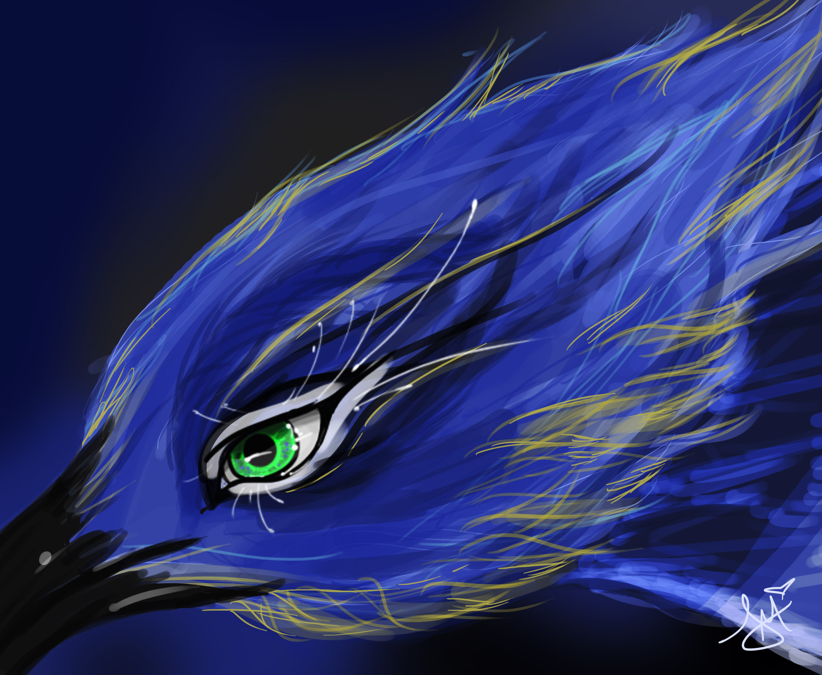 Blue Jays Logo Jay By Toxicunique Dcj