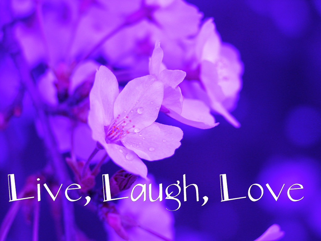 Live Laugh Love Desktop Wallpaper