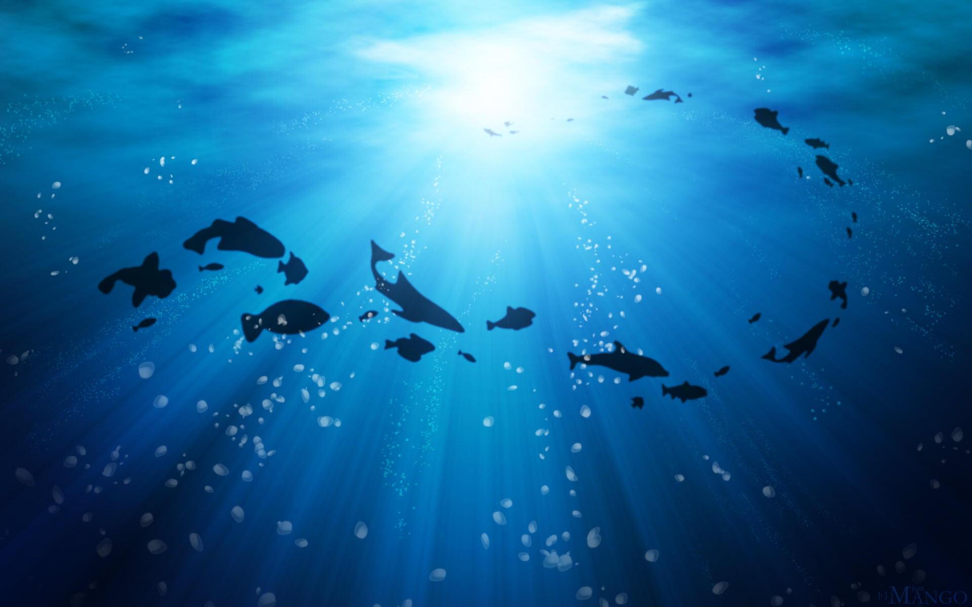 Life Under the Ocean Facebook Covers Wallpapers HD 1920x1200