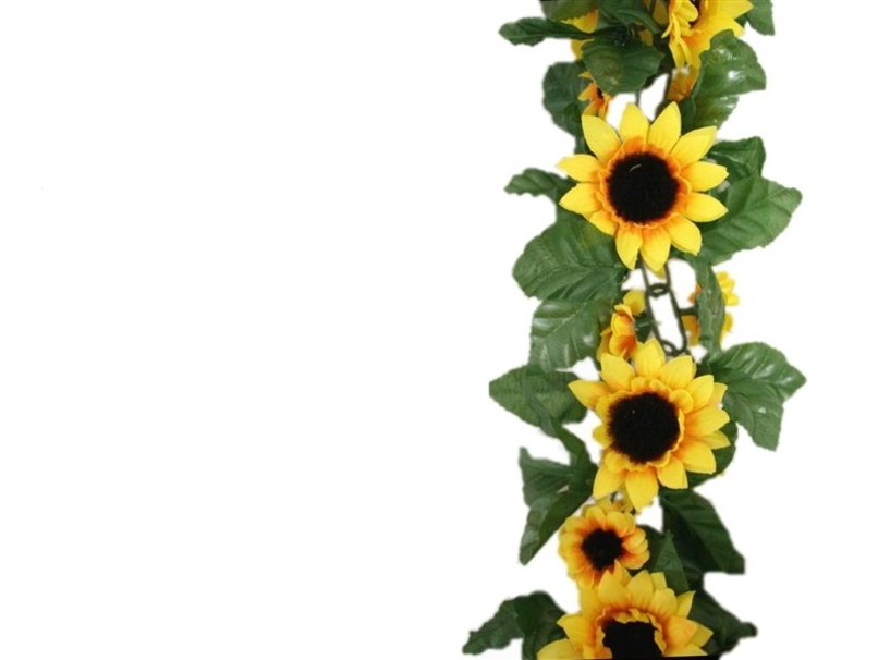 Sunflower Border Wallpaper
