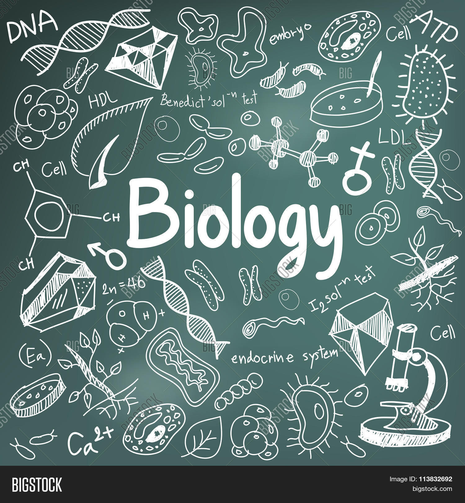 Biology Science Vector Photo Free Trial Bigstock