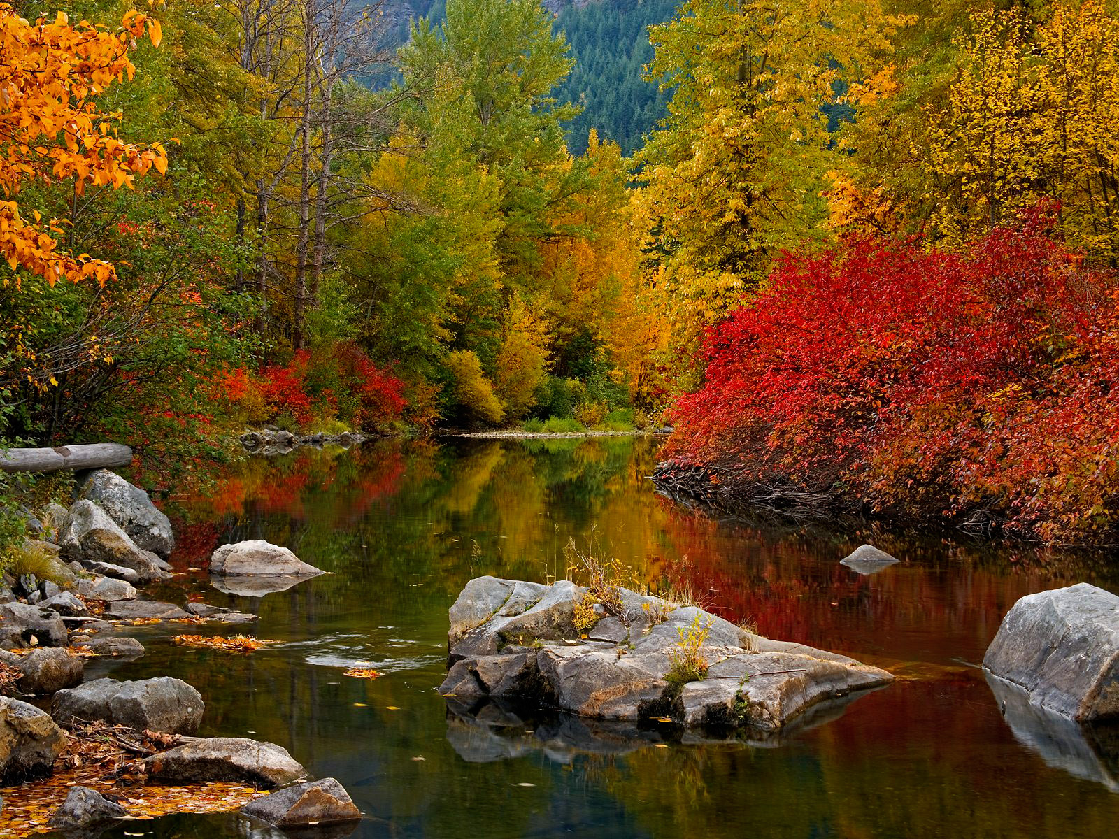  Wallpaper Images Autumn mountain lake amp its Fall Desktop 1600x1200