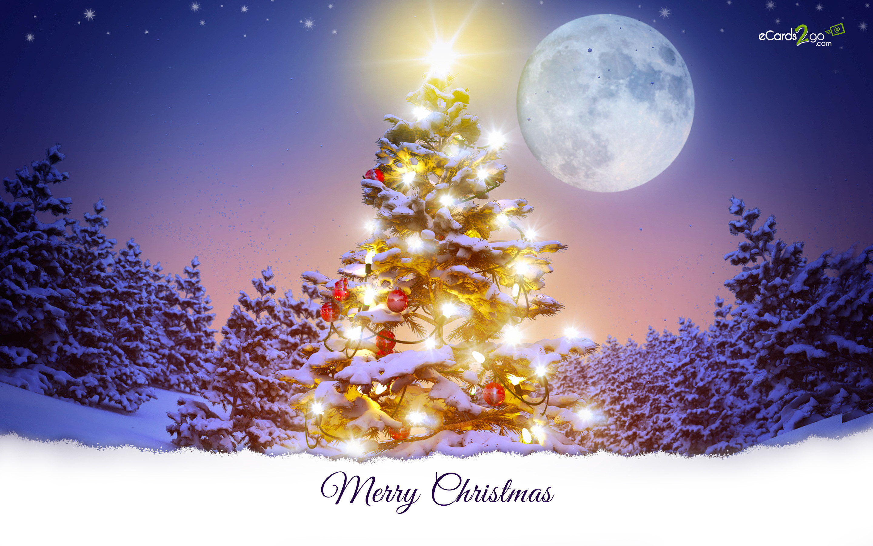 A Christmas tree covered in snow and glowing with lights, with a full moon in the background and a snowy forest
