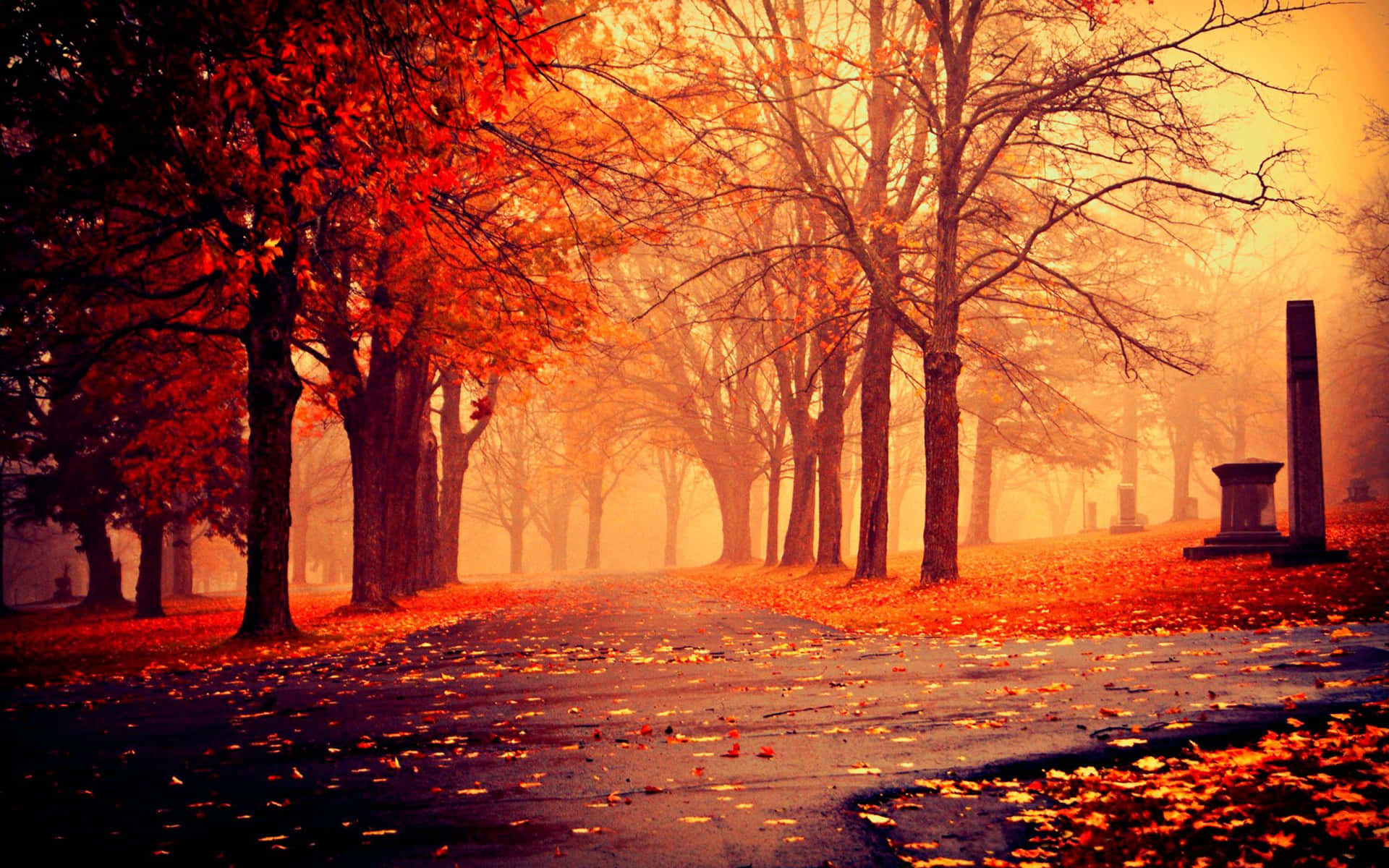 Enjoy The Perfect Fall At Park Wallpaper