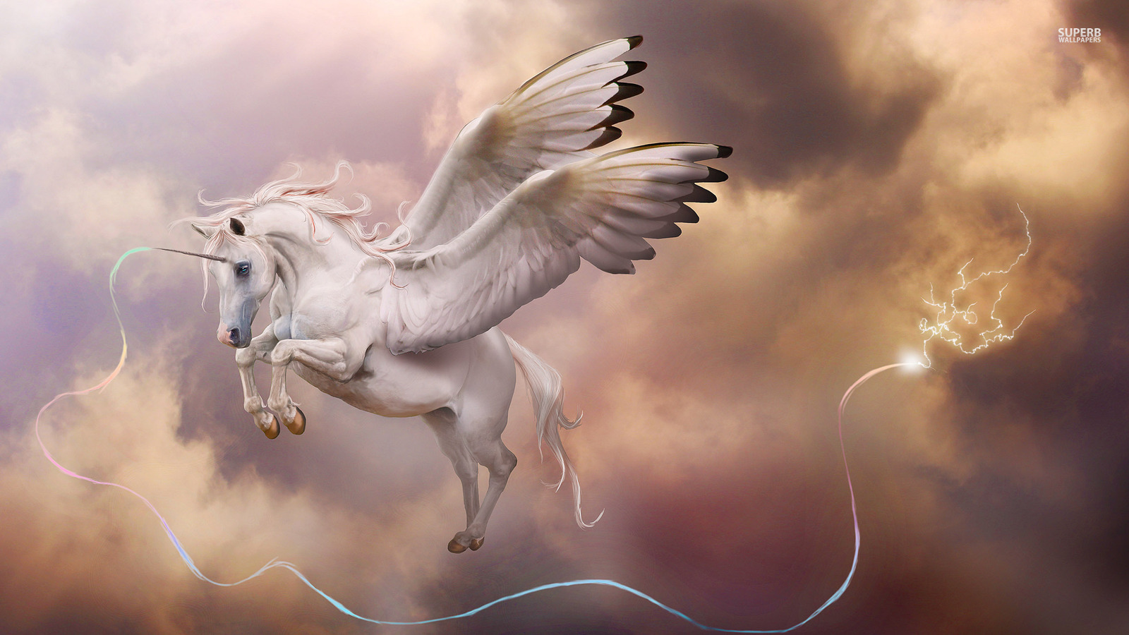 Pegasus Image Alicorn HD Wallpaper And Background Photos