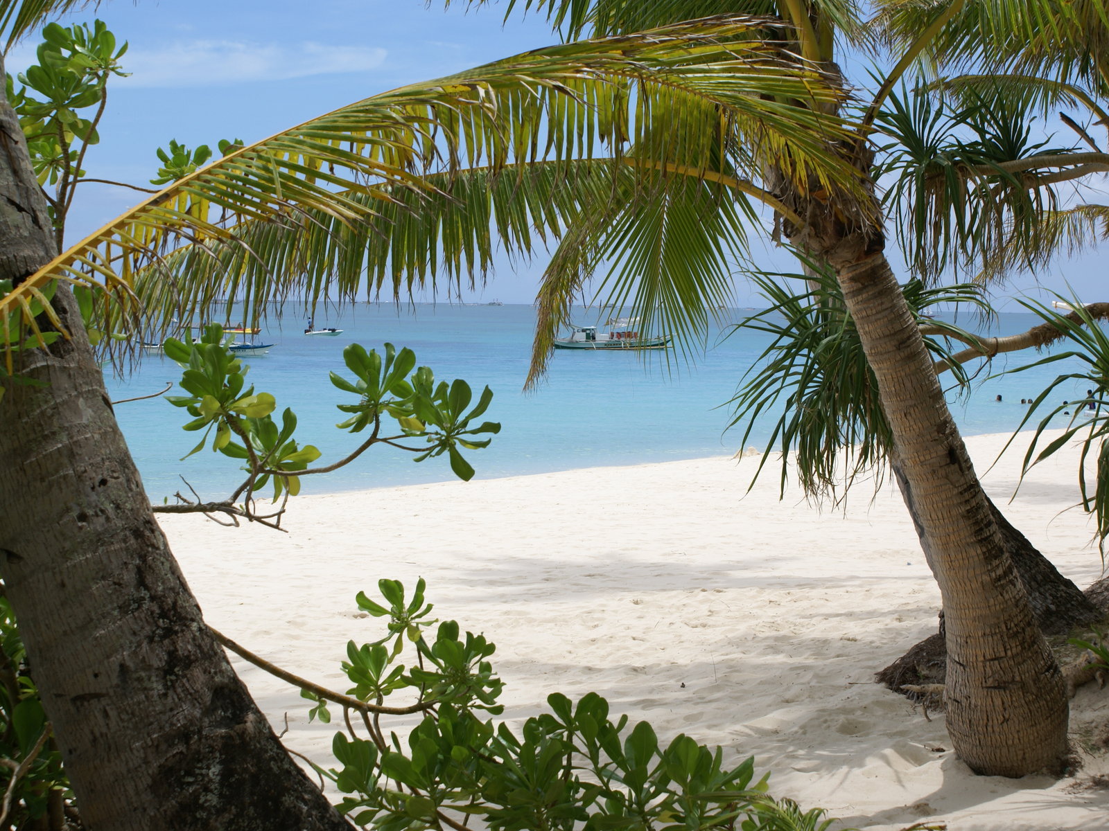 Beach Vacation Wallpaper