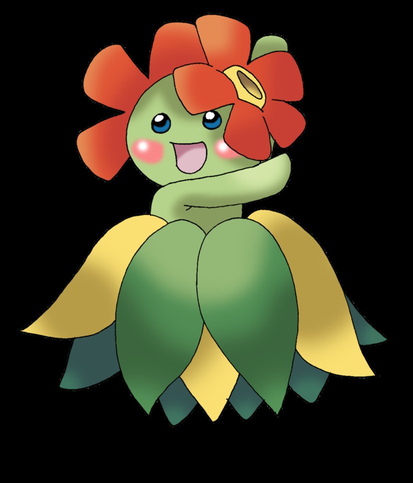 Mobile Bellossom Wallpaper Full HD Pictures