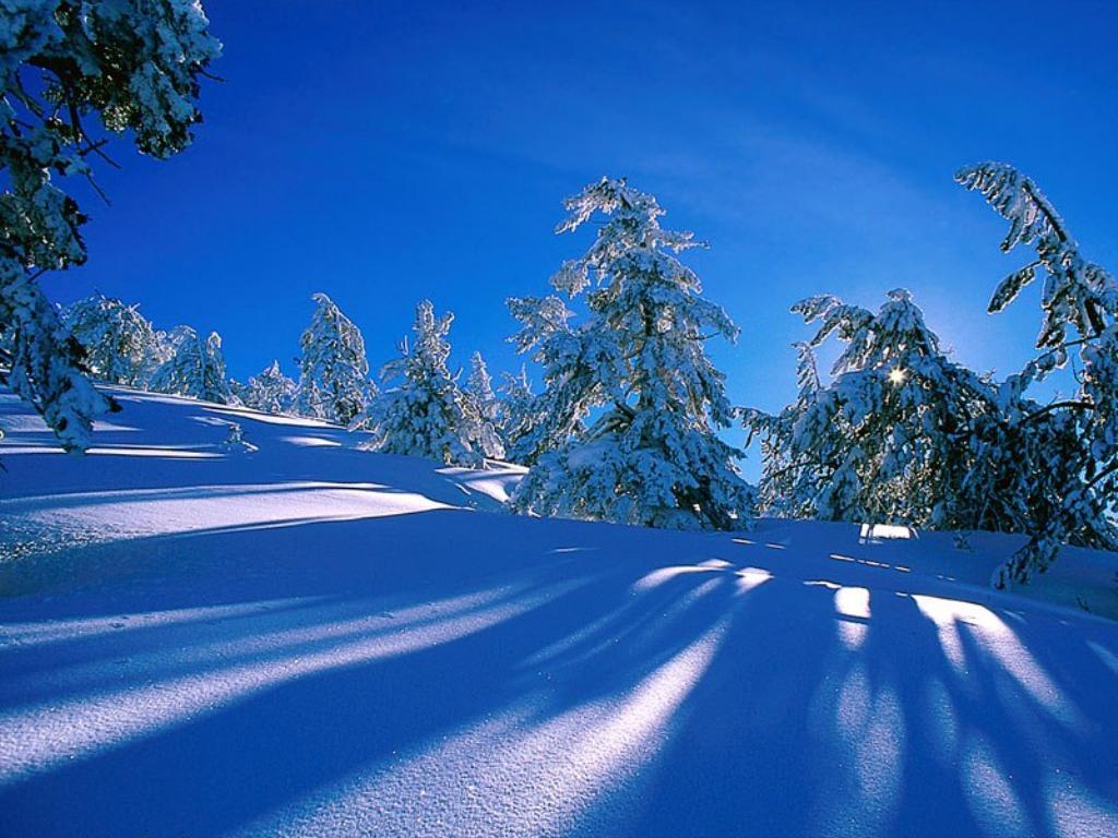 Christmas Image Winter Scene HD Wallpaper And Background