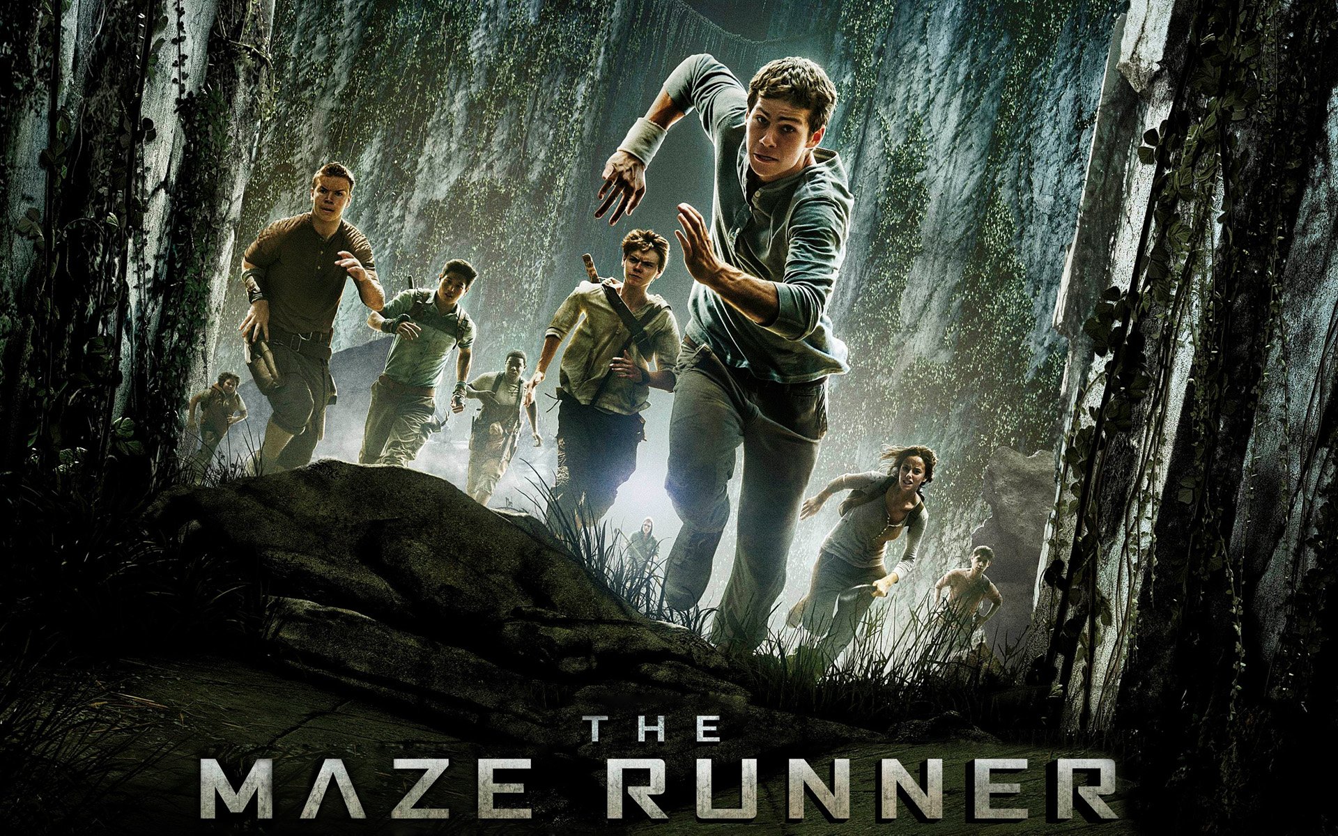 2014 The Maze Runner Movie Exclusive HD Wallpapers 7242 1920x1200