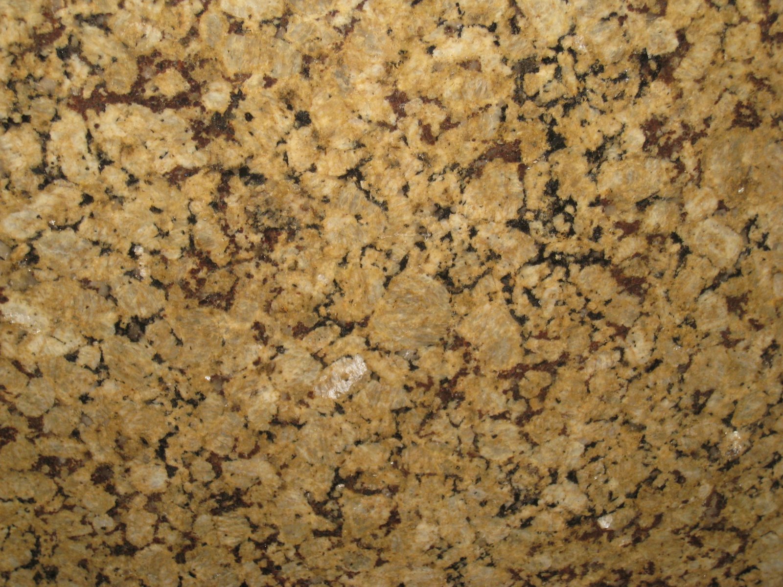 Butterfly Gold Granite