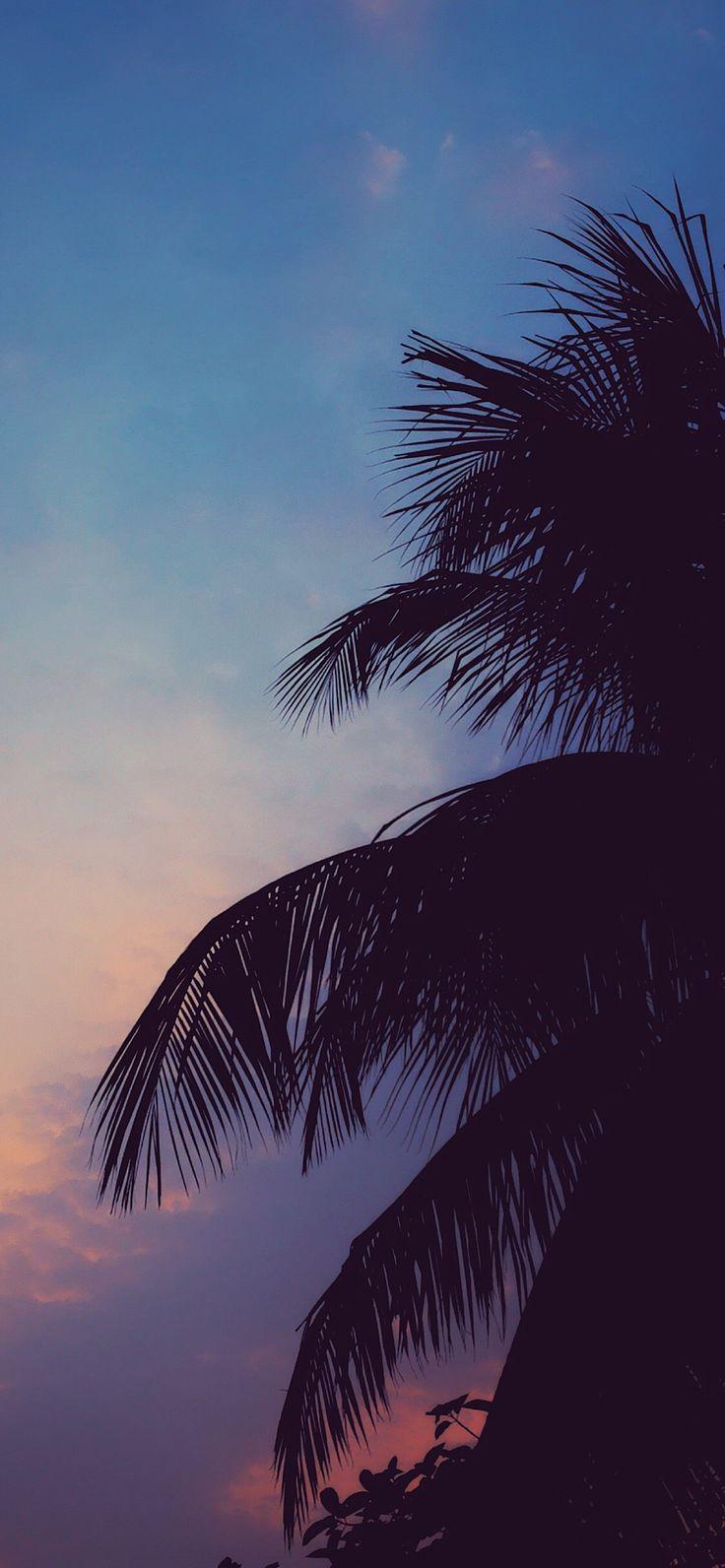 Chill Vibes Wallpaper Scenery Sky Aesthetic