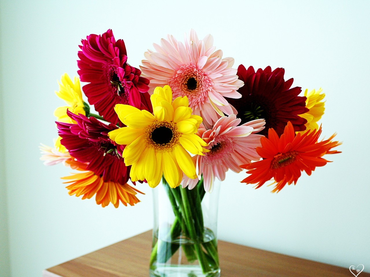 The gallery for --> Very Beautiful Flowers