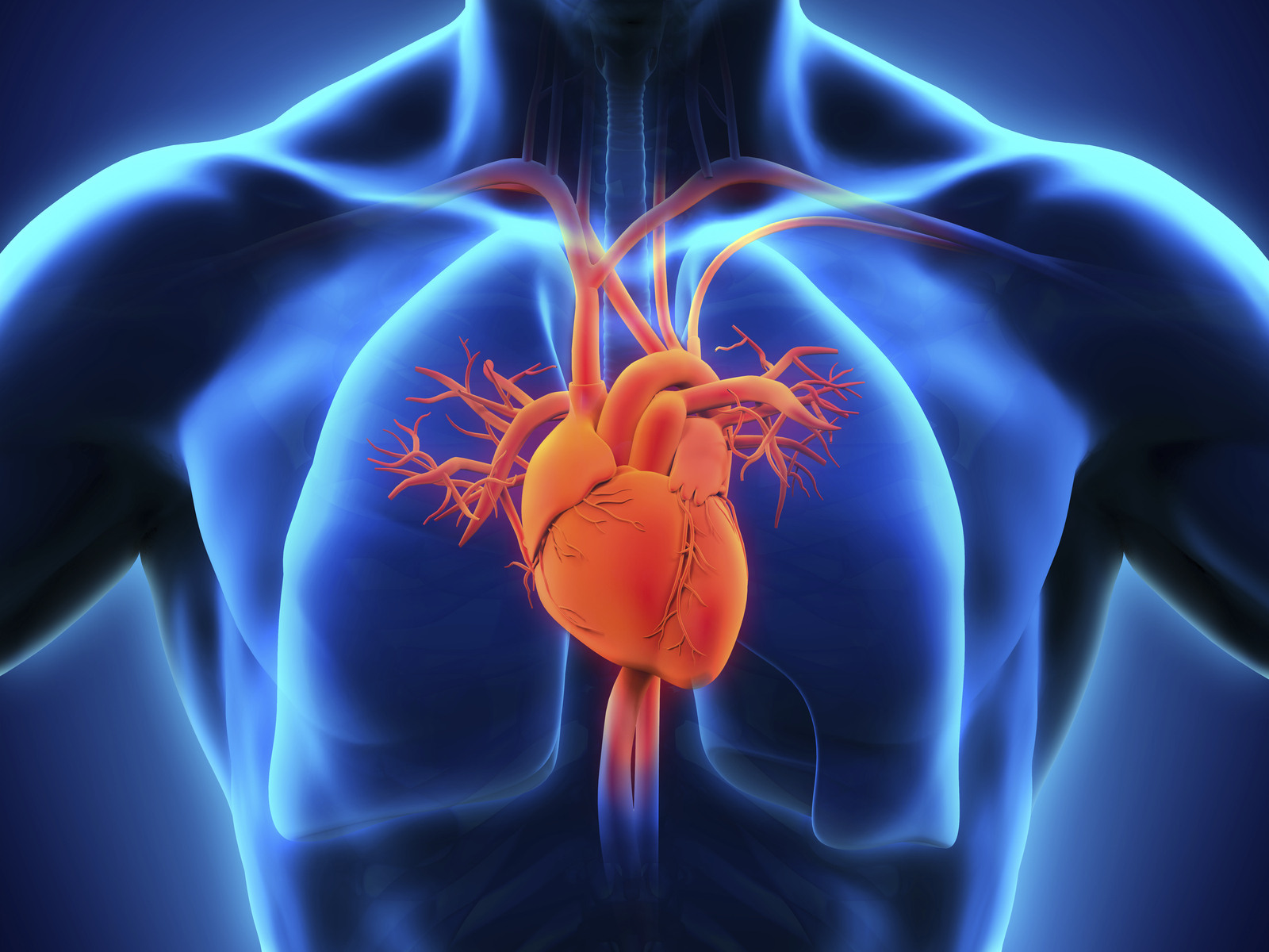Low Cost Cardiac Treatment Best Open Heart Surgery In