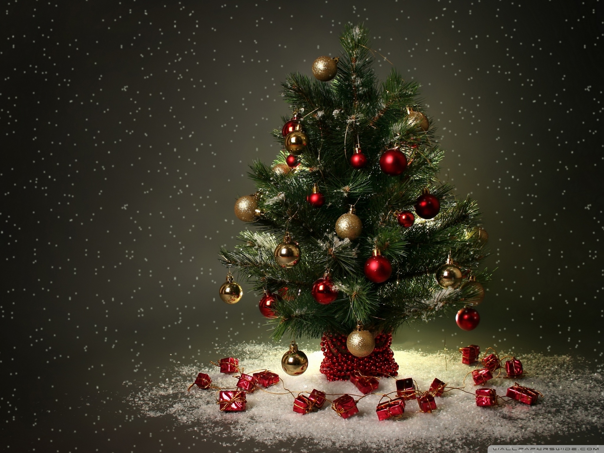 Christmas Trees Background Wallpaper