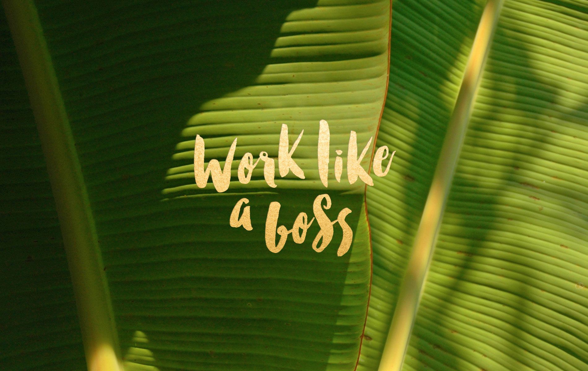 Work Like a Boss Free Desktop Wallpaper by Leysa Flores