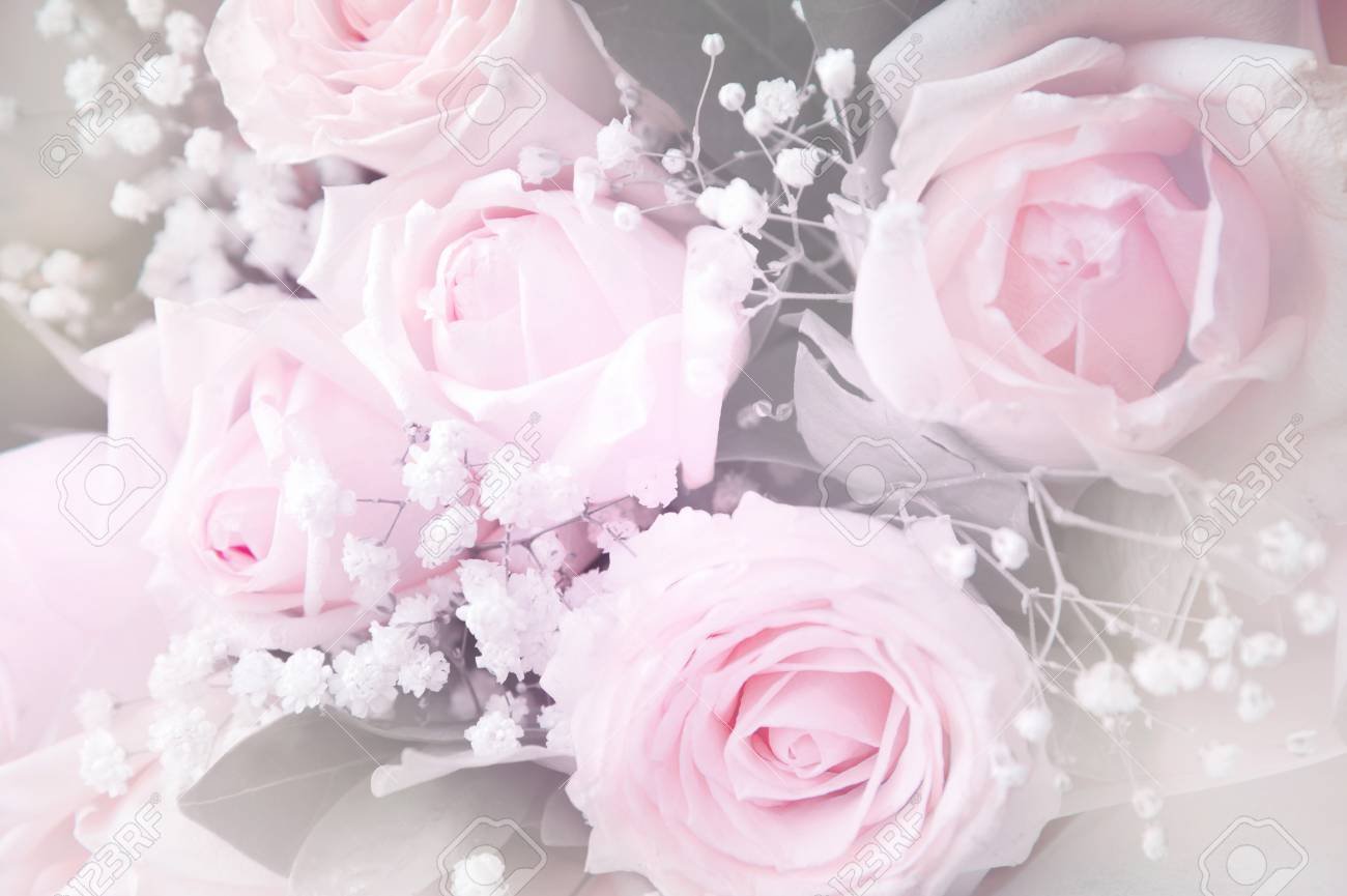 Soft White Pink Roses Flower Bouquet Romantic Background Stock