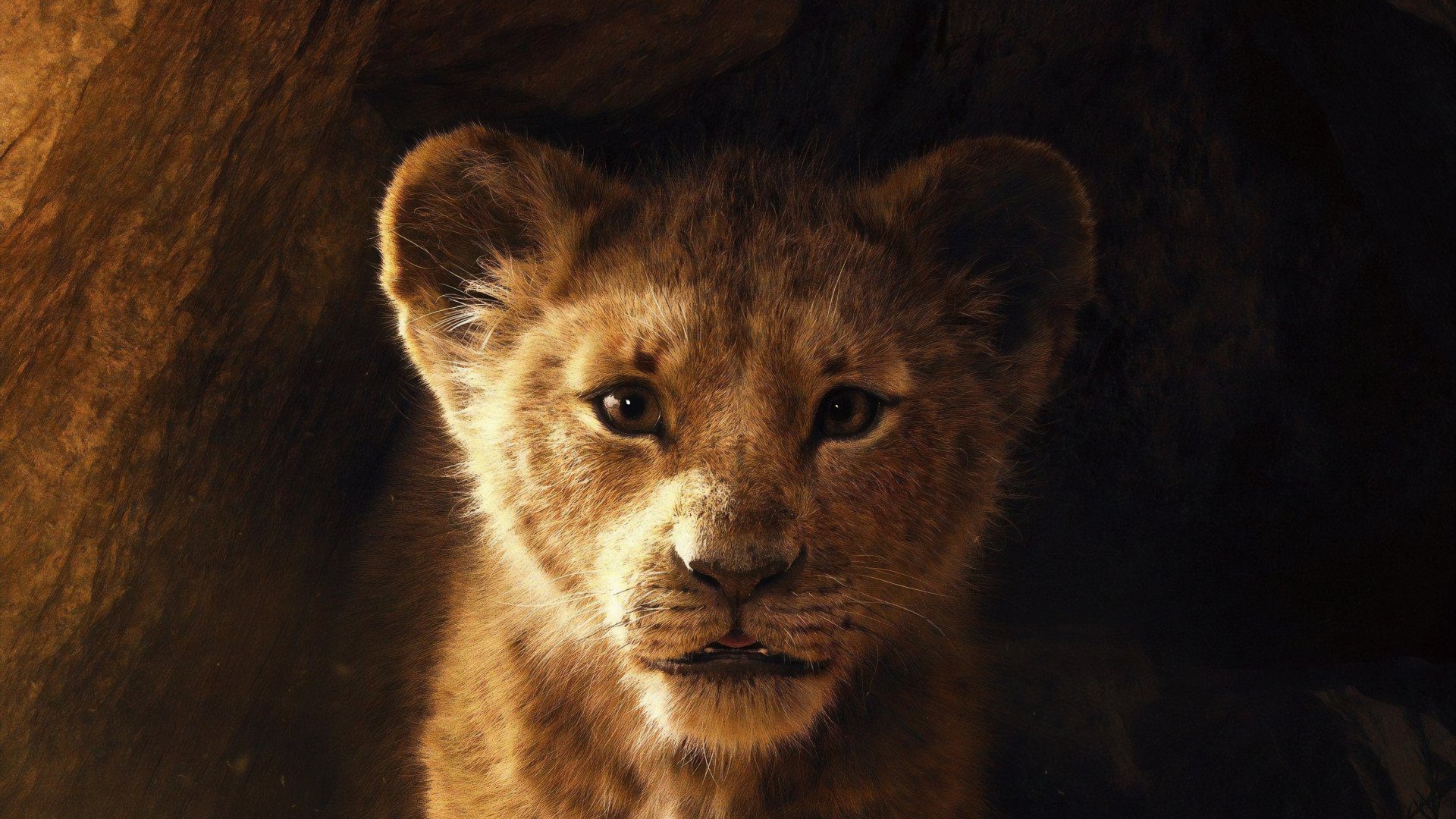 The Lion King HD Wallpaper Background Image