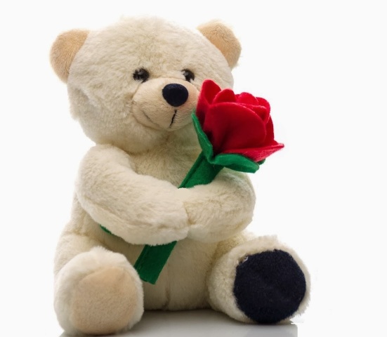 Happy Teddy Day Image Wallpaper Photos Pictures For