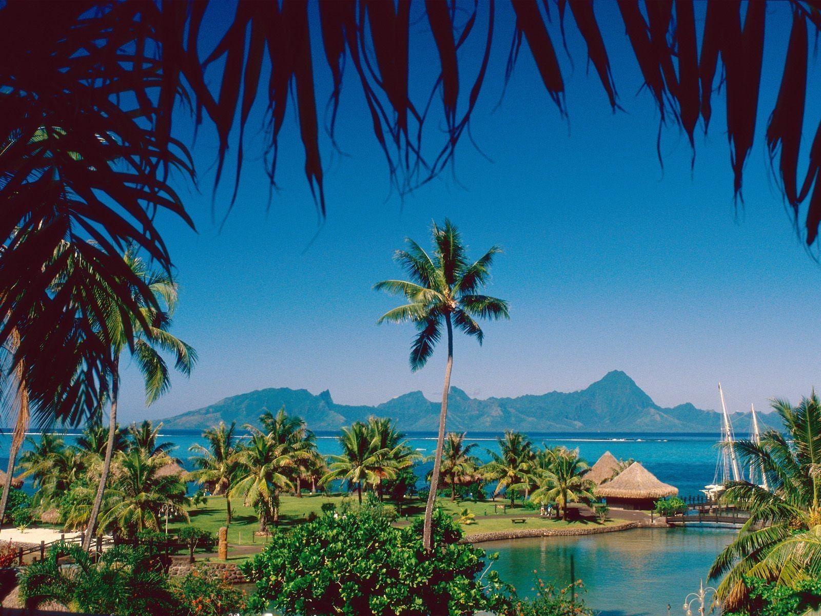 Moorea Beaches Desktop Wallpaper At Wallpaperbro