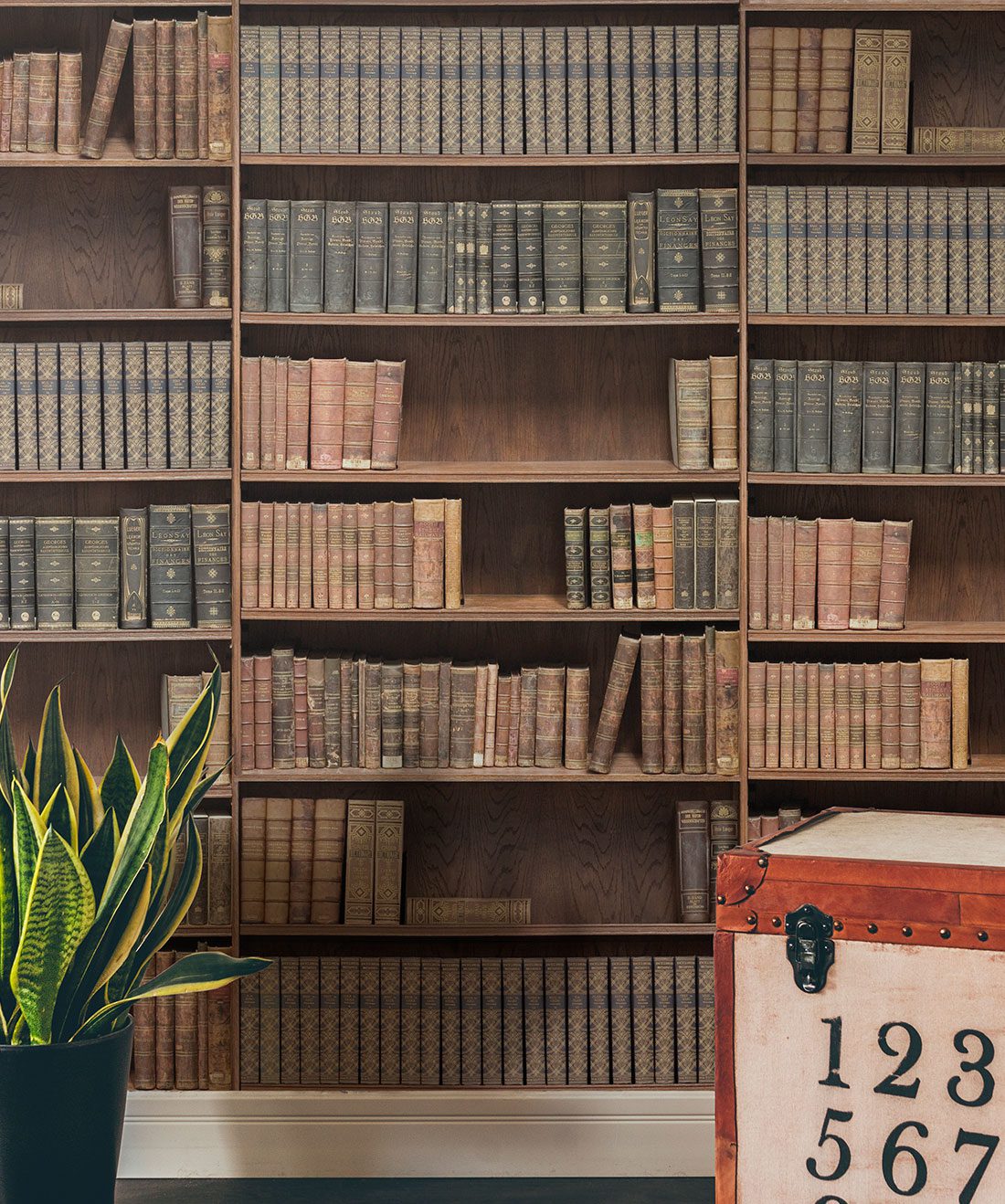 Bookshelf Wallpaper Realistic Library Design Milton King