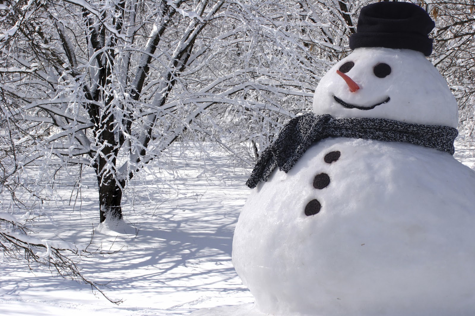 The Science Behind Building Perfect Snowman Stemjobs