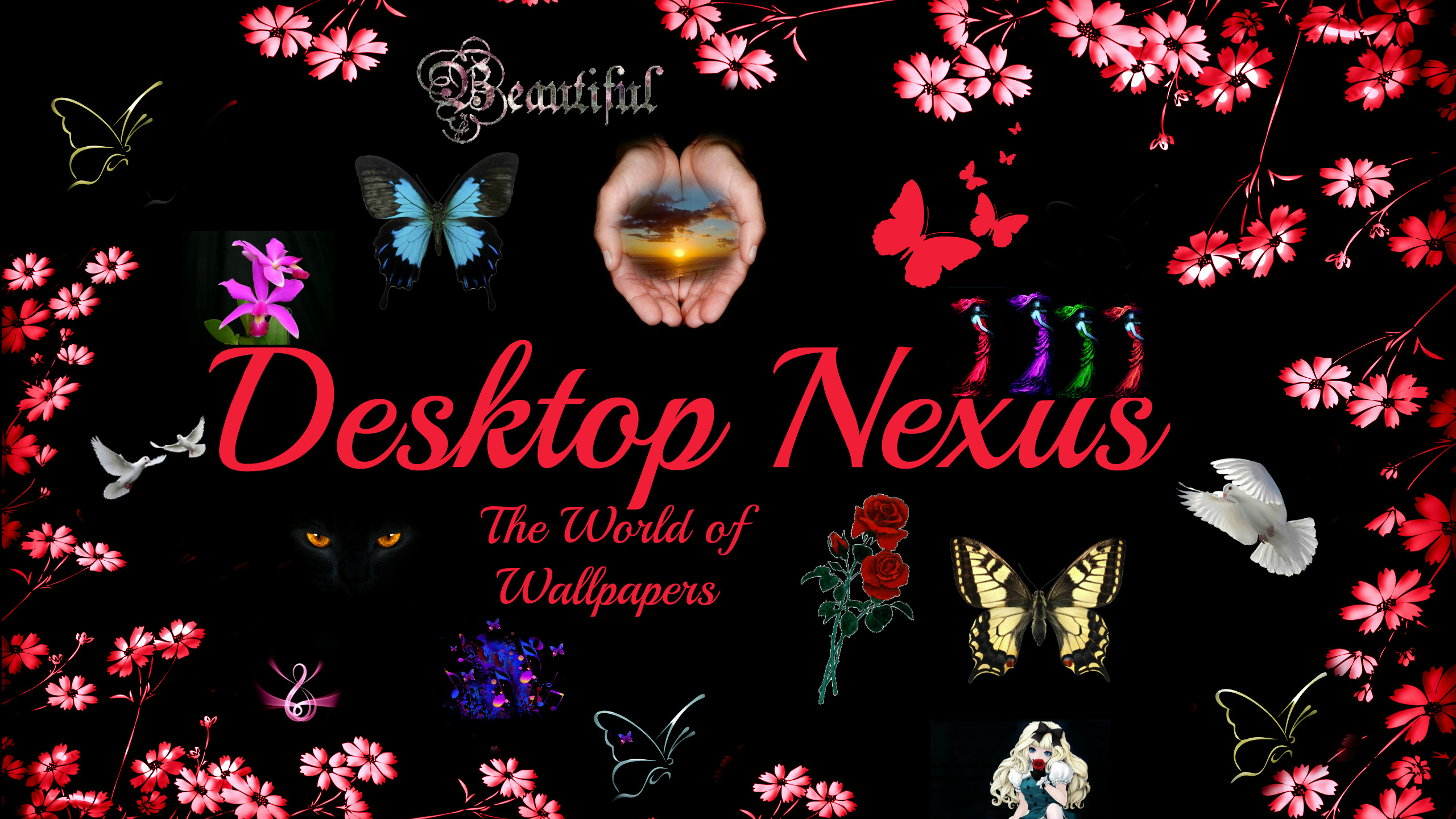 Desktop Nexus Winter Wallpaper Image Crazygallery Info