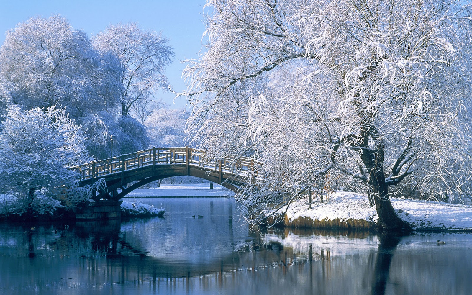 Wallpaper With A White Landscape In The Winter Bridge Covered