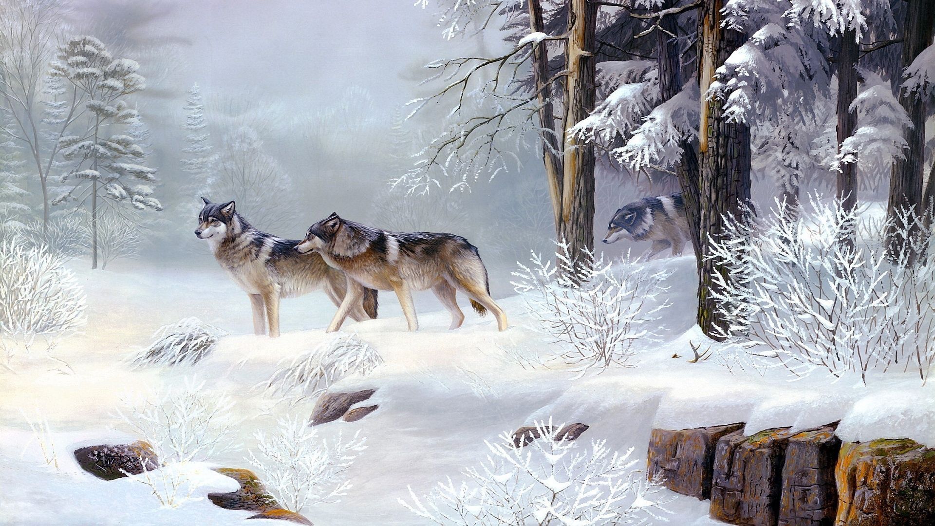 Winter Wolves Wallpaper At Wallpaperbro