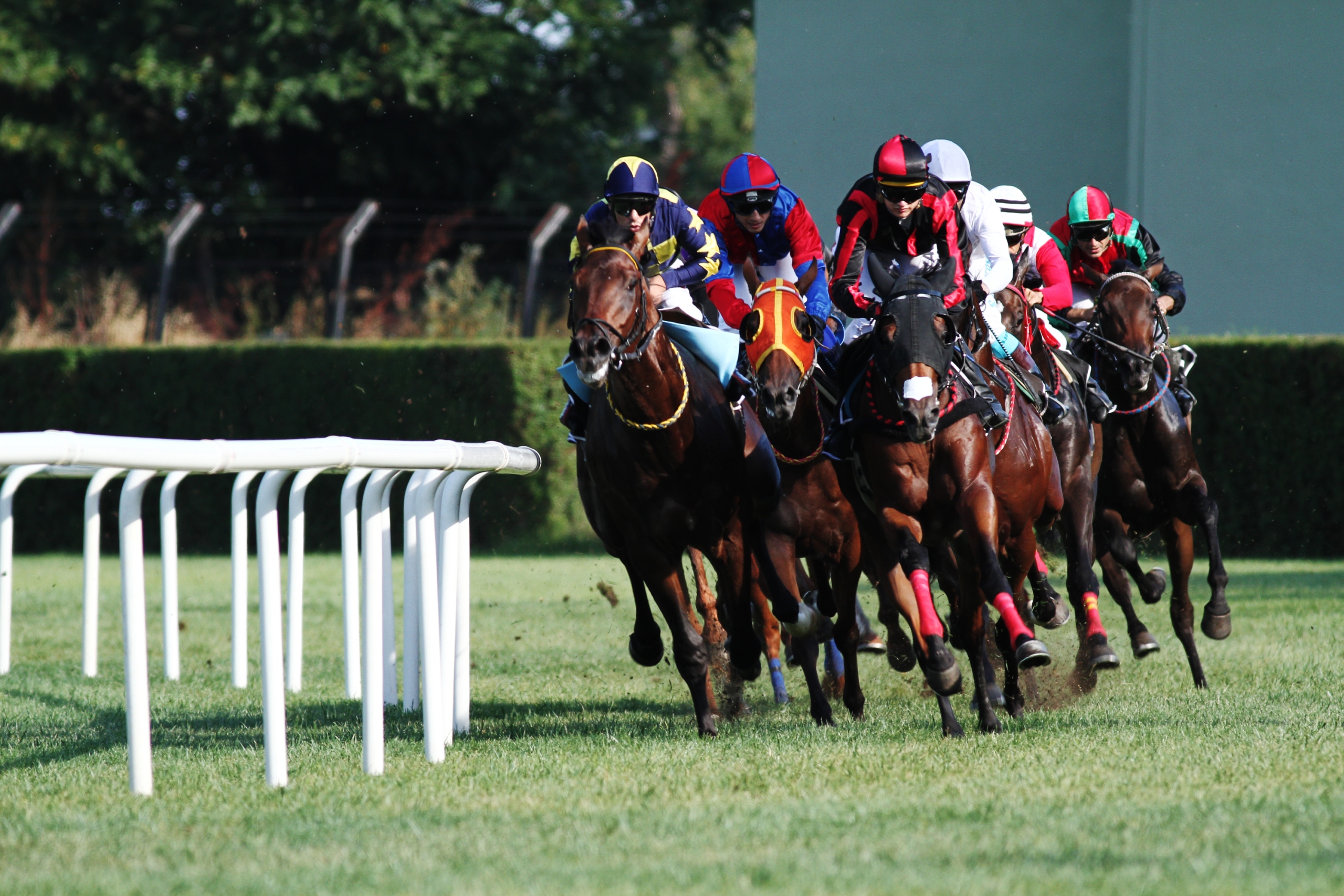 Horse Racing Wallpaper Pictures Image