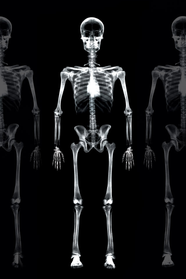 Skeleton Halloween iPhone Wallpaper