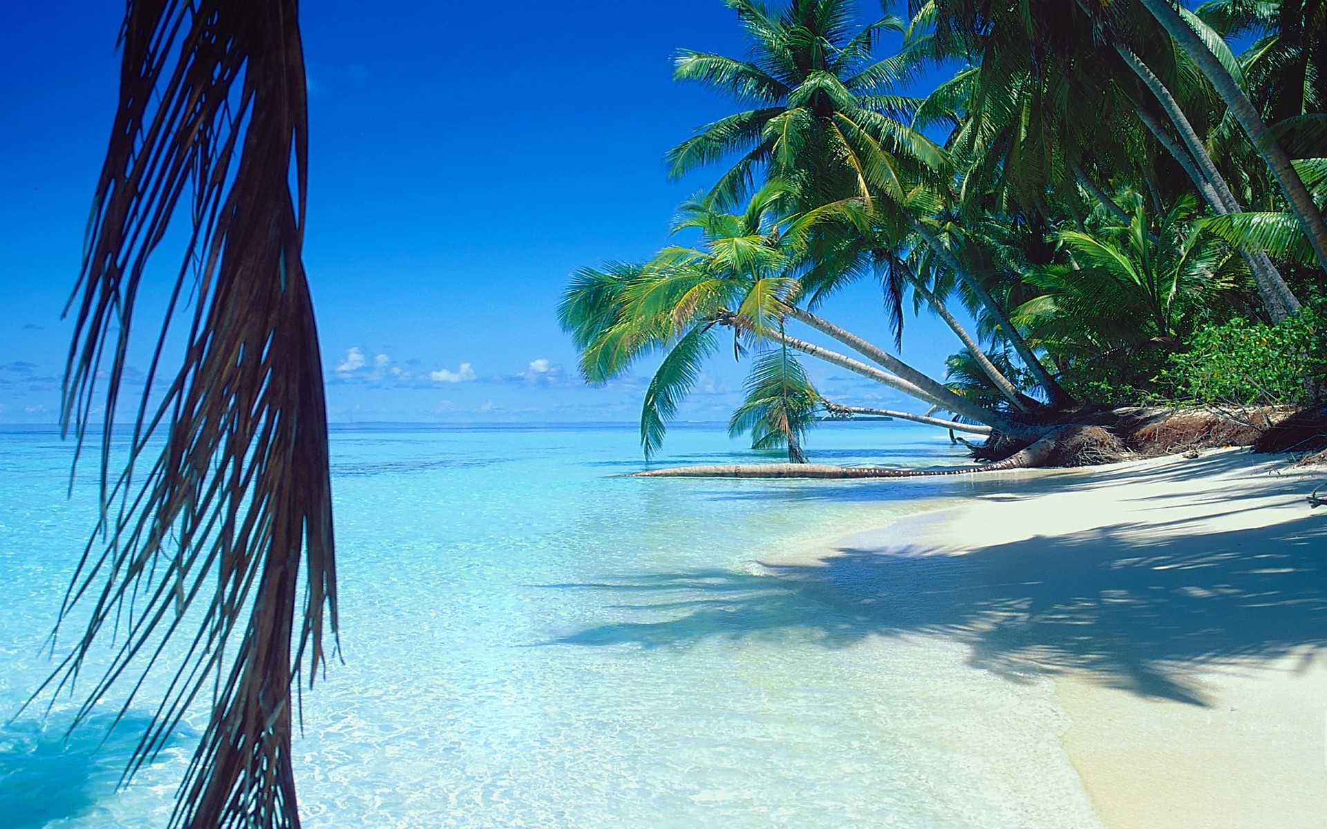 Beach Vacation Wallpaper