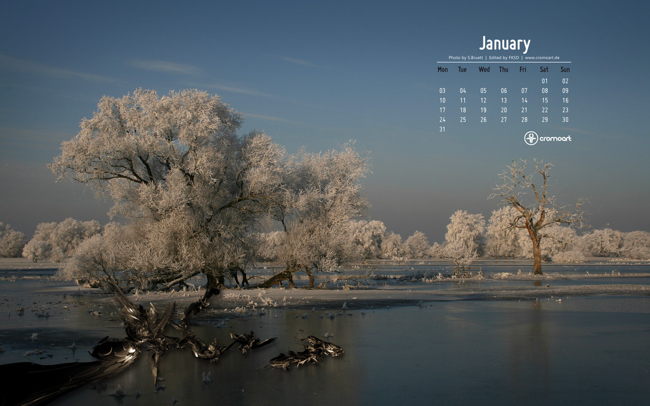 Desktop Calendar January Wallpaper