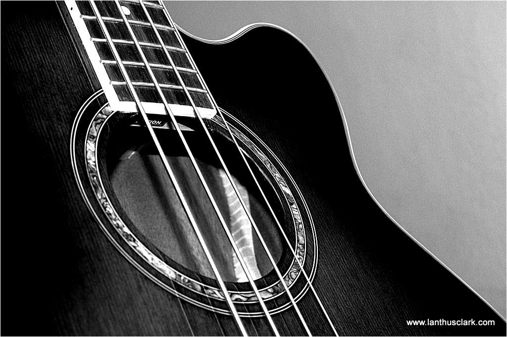 Acoustic Bass Guitar Wallpaper HD Teahub Io