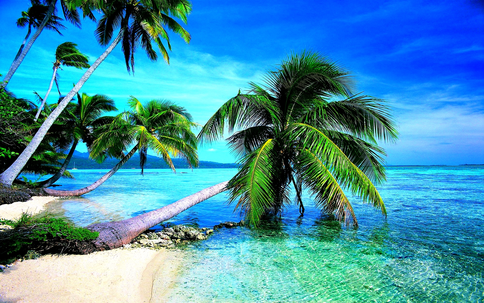 Tropical Beach Widescreen Wallpaper In HD Image