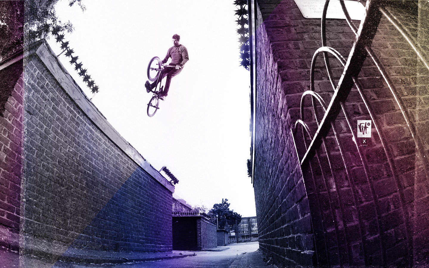 Marv Wallpaper Fitbikeco